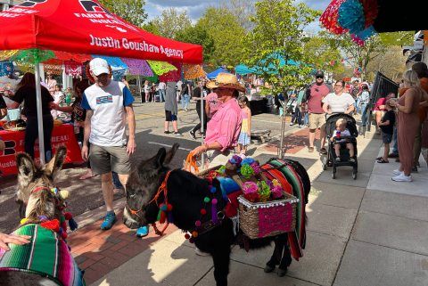 Rockford Cinco de Mayo block party